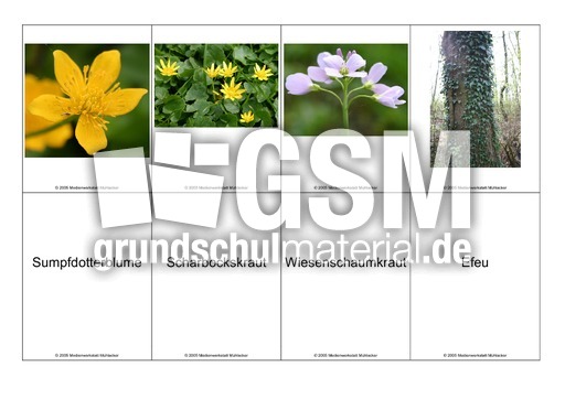 Blumen-Memo-Aufdeckspiel-19.pdf